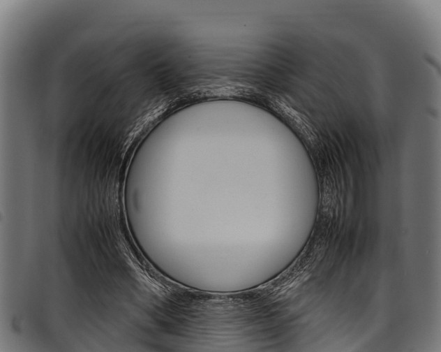 X0000098020394200803280758