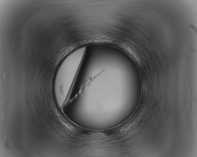 X0000098020397200803280758