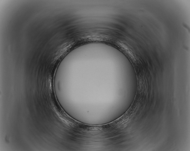 X0000098020398200803280758