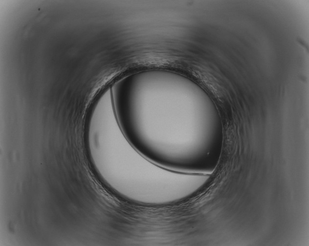 X0000098020399200803280758