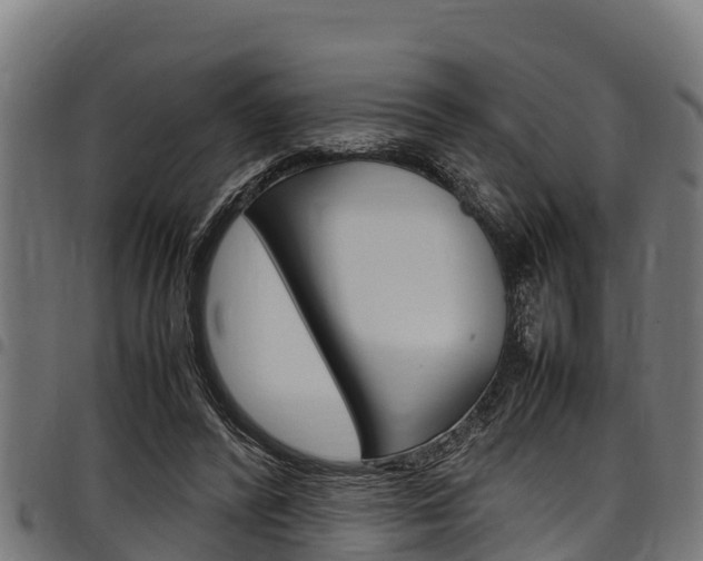 X0000098020400200803280758