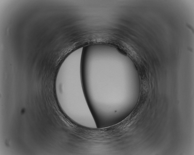 X0000098020401200803280758