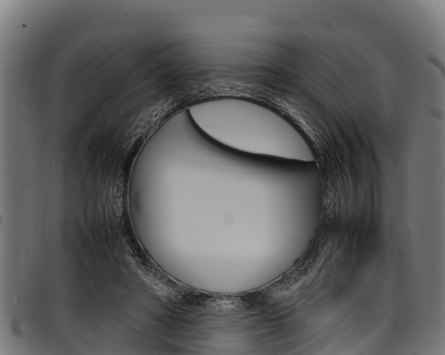 X0000098020402200803280758