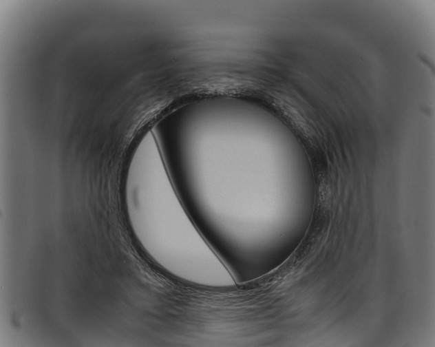 X0000098020403200803280758