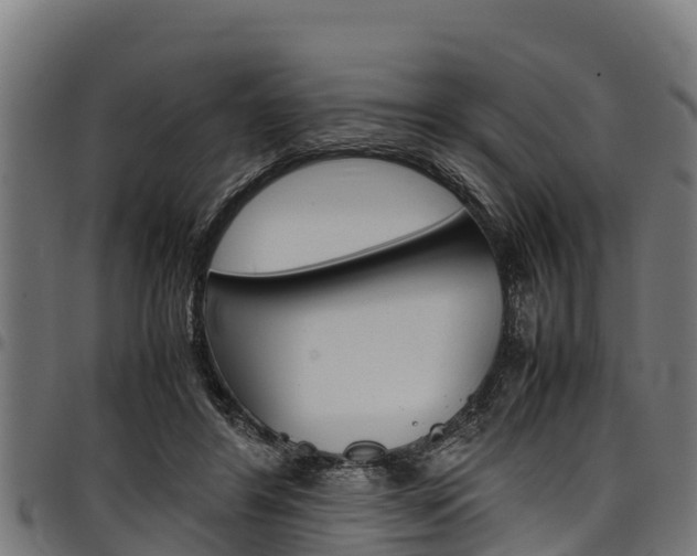 X0000098020404200803280758
