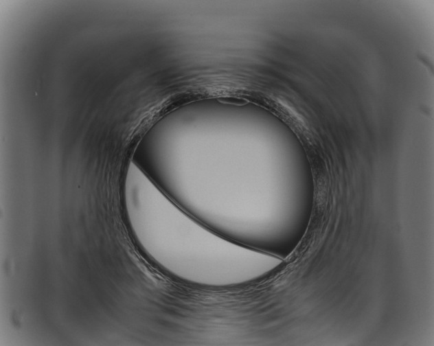 X0000098020405200803280758