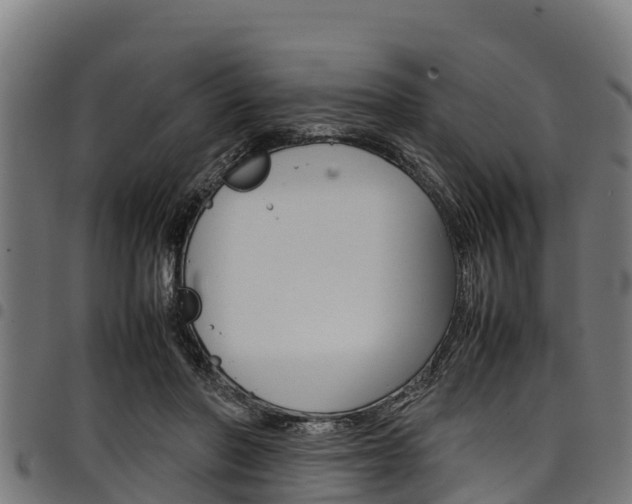 X0000098020406200803280758