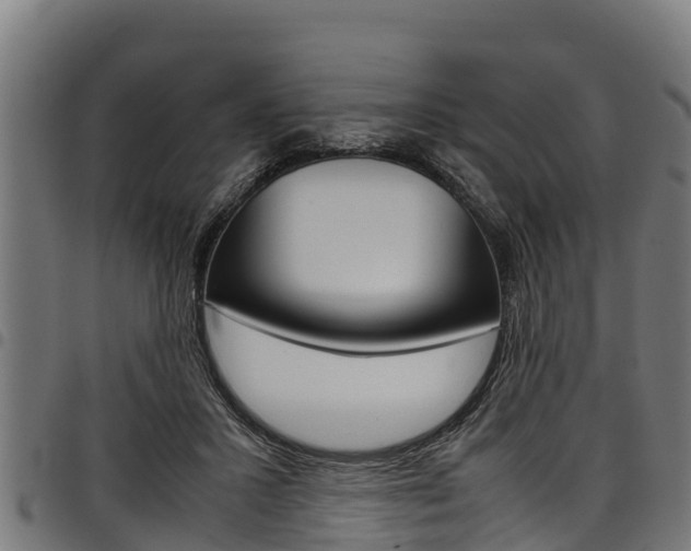 X0000098020407200803280758