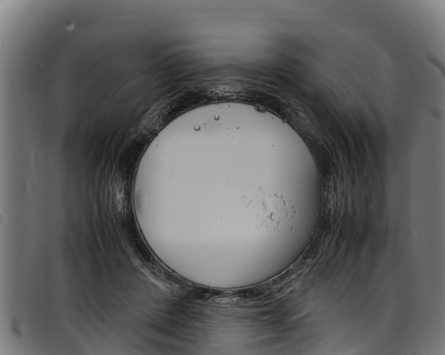 X0000098020408200803280758