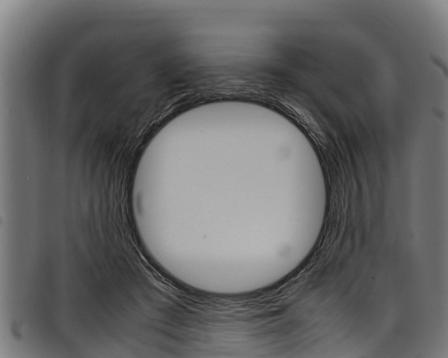 X0000098020409200803280758