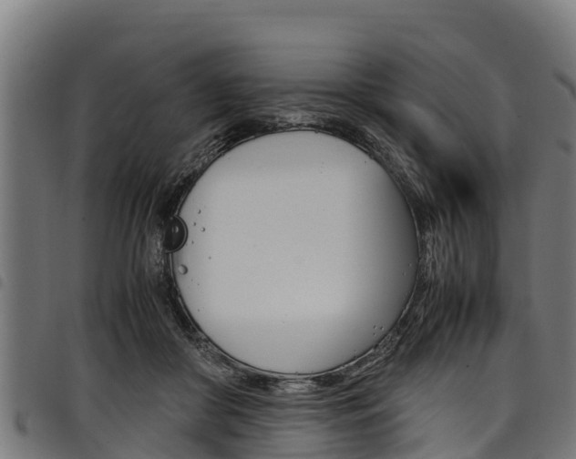 X0000098020410200803280757