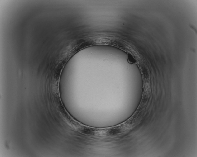 X0000098020411200803280757