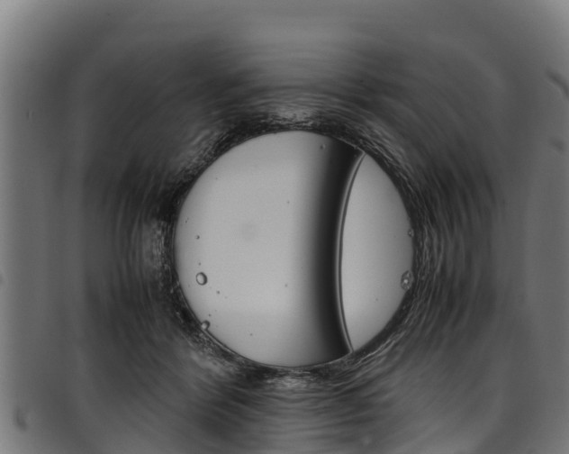 X0000098020412200803280757