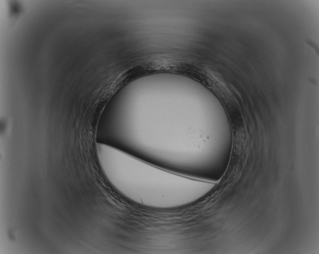 X0000098020413200803280757