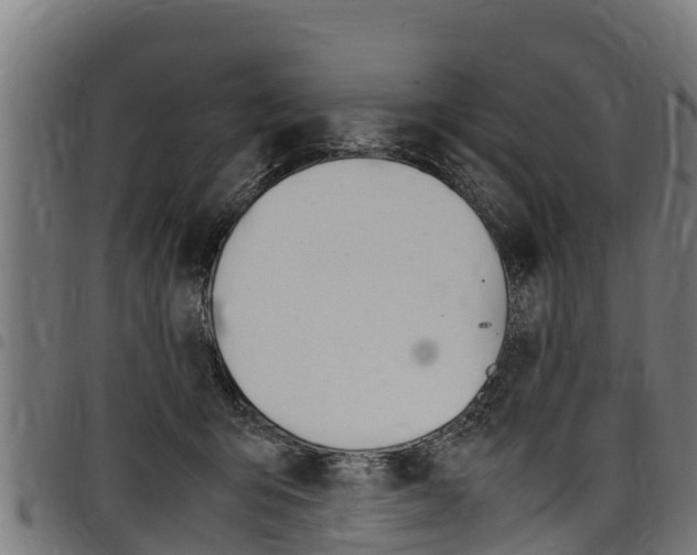 X0000098020415200803280757