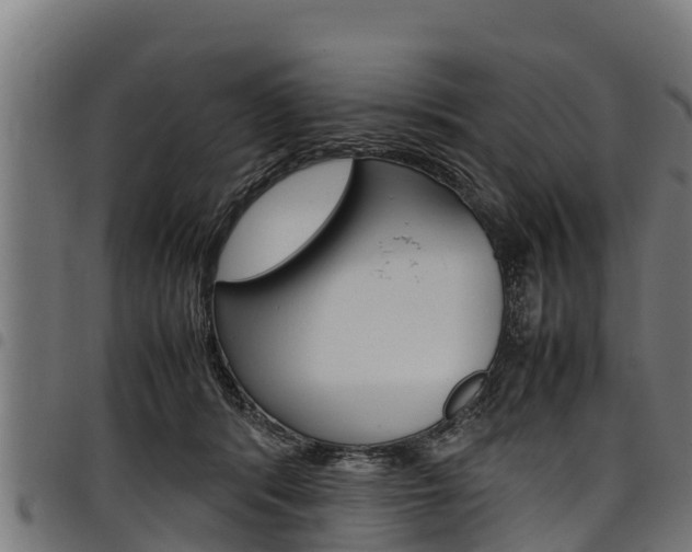 X0000098020416200803280757