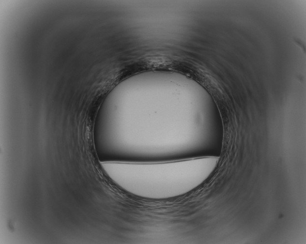 X0000098020417200803280757