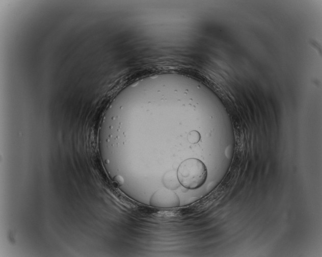 X0000098020418200803280757