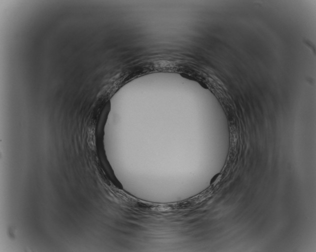 X0000098020419200803280757