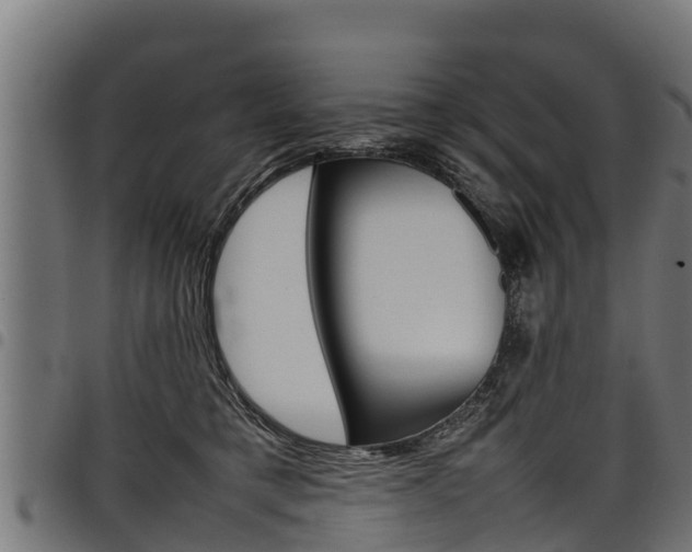 X0000098020421200803280757