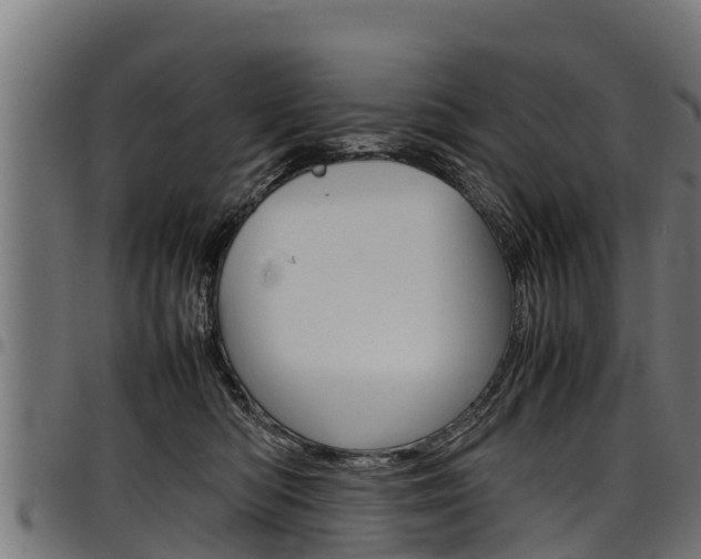 X0000098020422200803280757