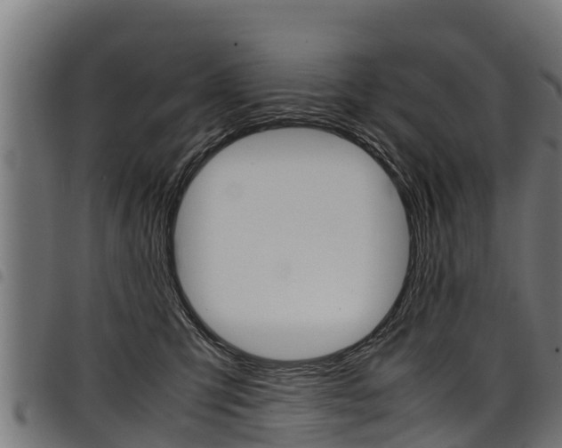 X0000098020423200803280757