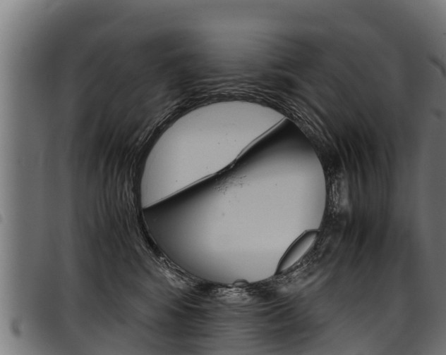 X0000098020424200803280757