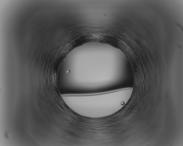 X0000098020425200803280757