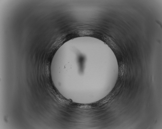 X0000098020426200803280757
