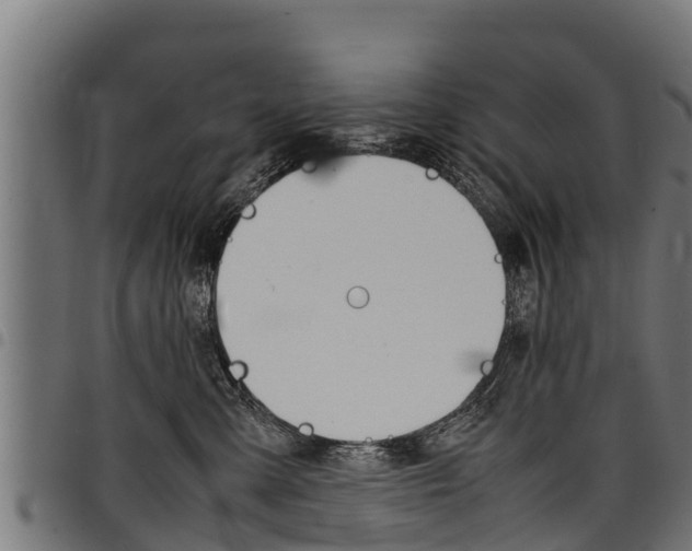 X0000098020427200803280757