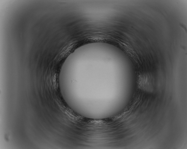 X0000098020428200803280757
