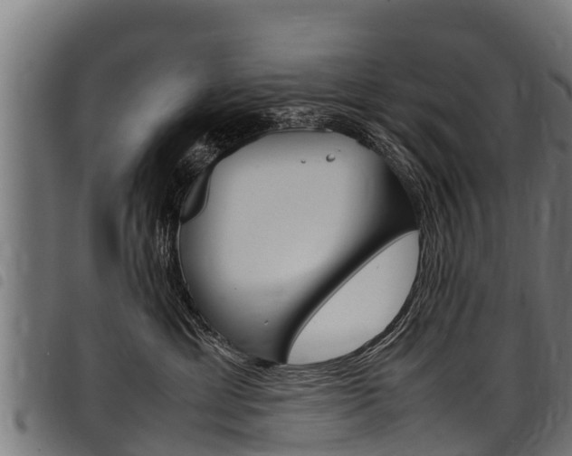 X0000098020429200803280757