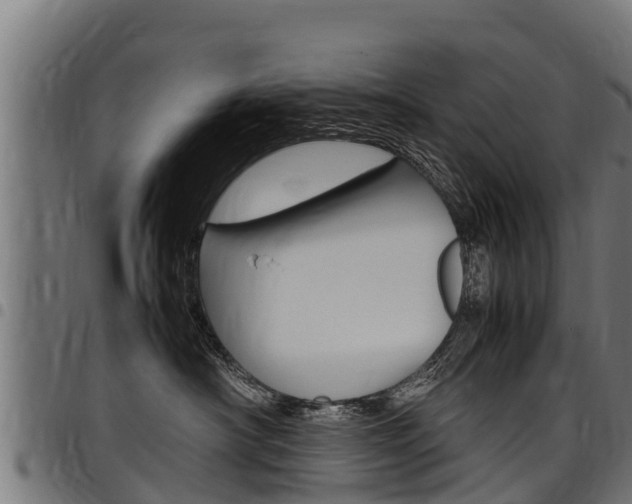 X0000098020430200803280757