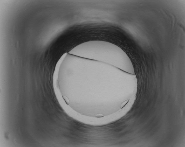 X0000098020431200803280757