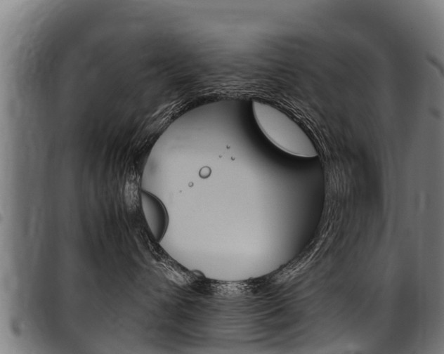 X0000098020432200803280757