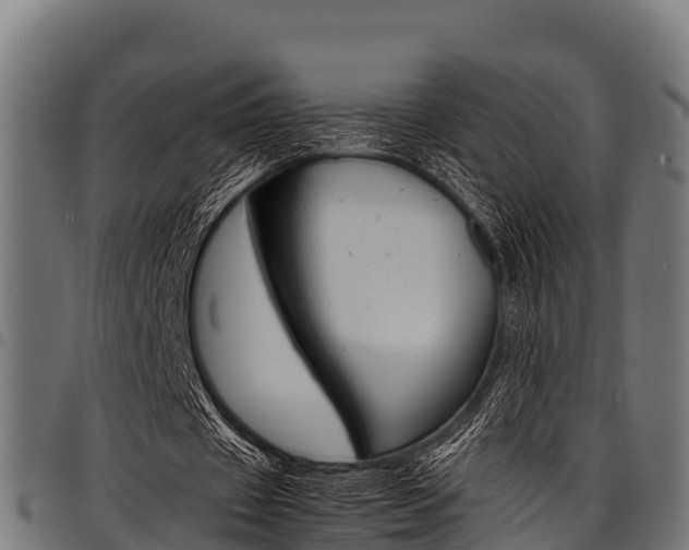X0000098020433200803280757