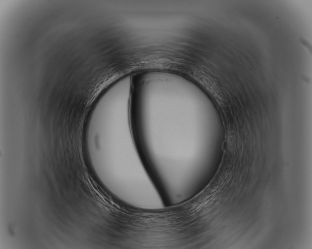 X0000098020434200803280757
