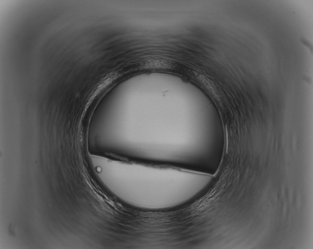 X0000098020435200803280757