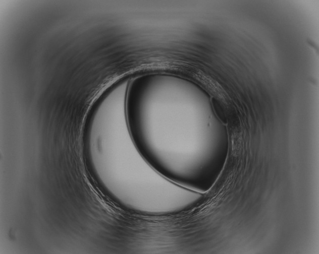 X0000098020436200803280757