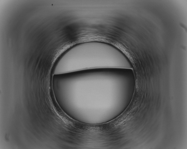 X0000098020438200803280757