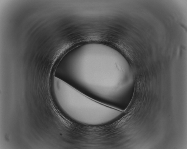 X0000098020439200803280757