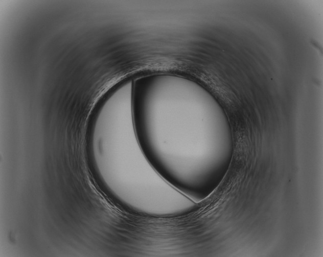 X0000098020440200803280757