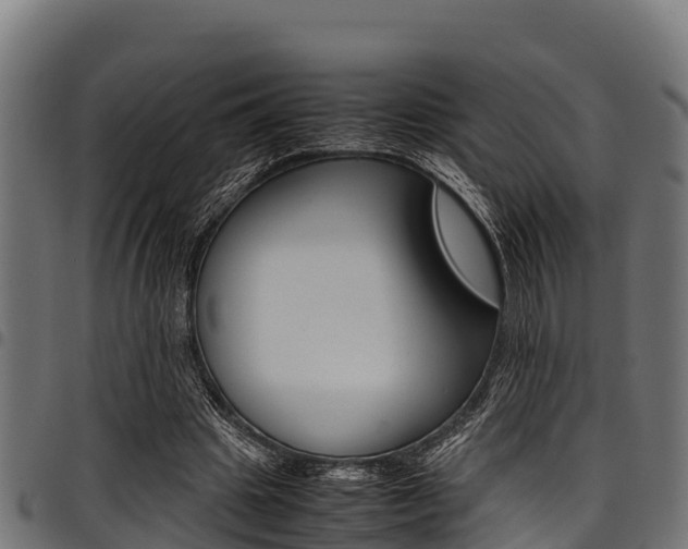 X0000098020441200803280757