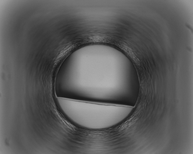 X0000098020442200803280757