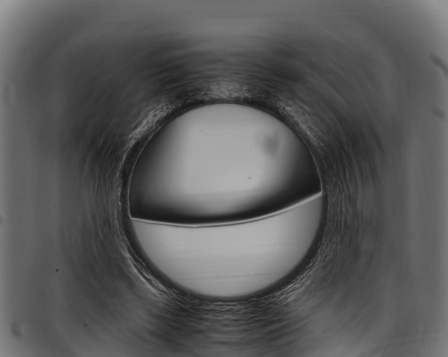 X0000098020443200803280757