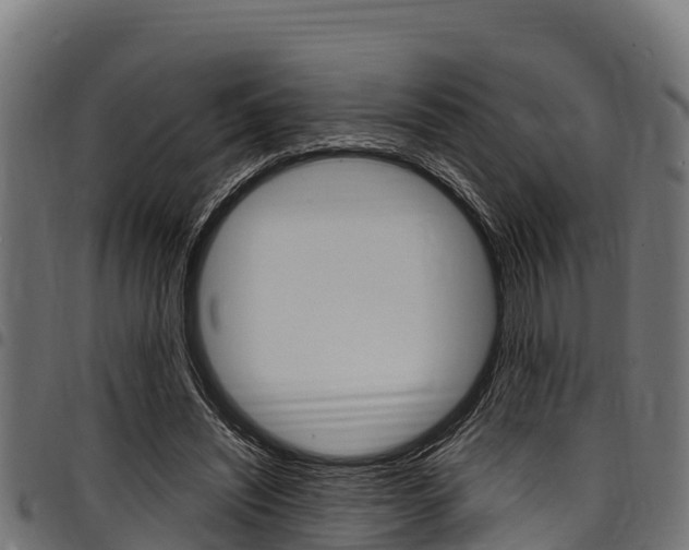 X0000098020444200803280757
