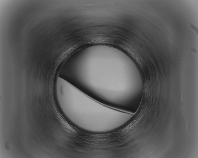 X0000098020445200803280757