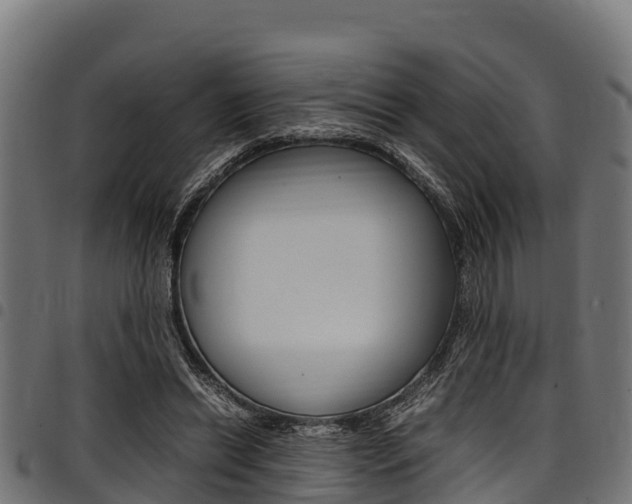 X0000098020446200803280757
