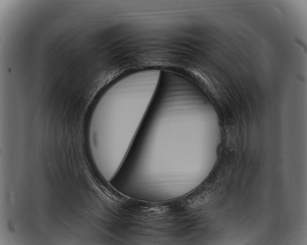 X0000098020447200803280757