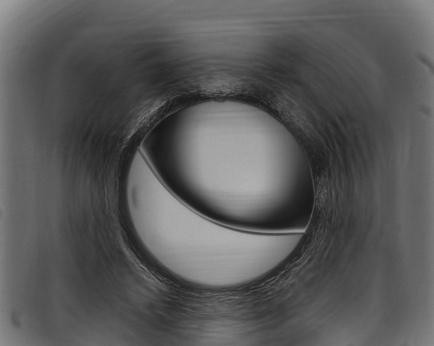 X0000098020448200803280757